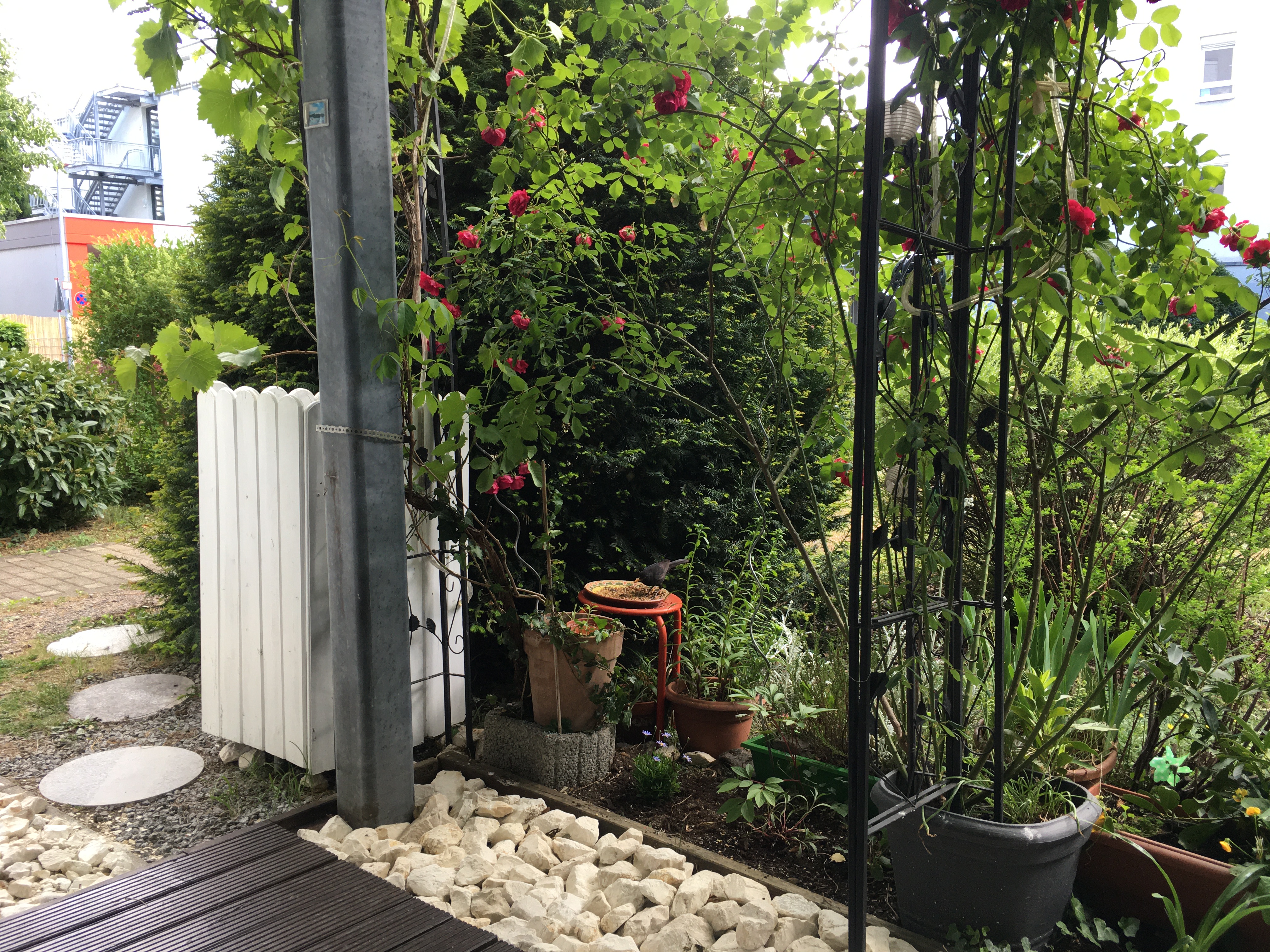 Terrasse (Zugang Innenhof)